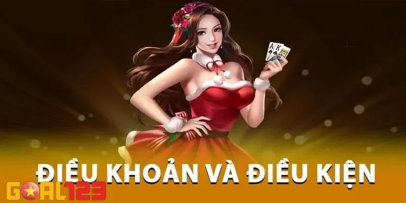 điều khoản và điều kiện